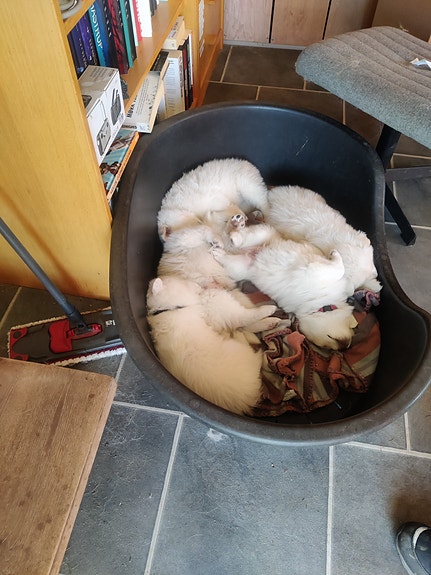 Product image 2 of 9