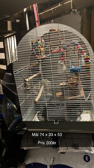 Product image 1 of 6