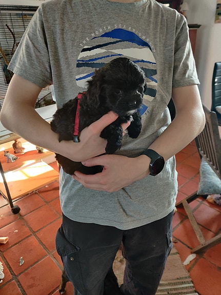 Product image 8 of 10