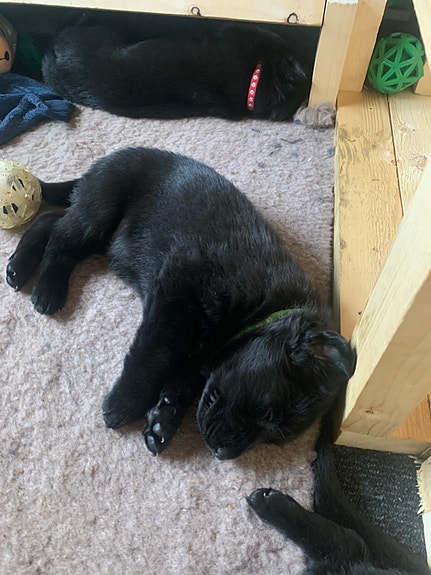 Product image 1 of 10