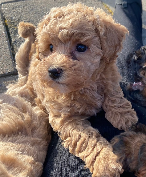 Product image 1 of 10