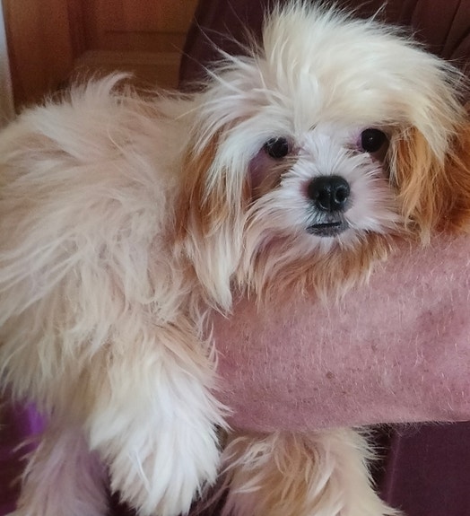 Product image 1 of 5