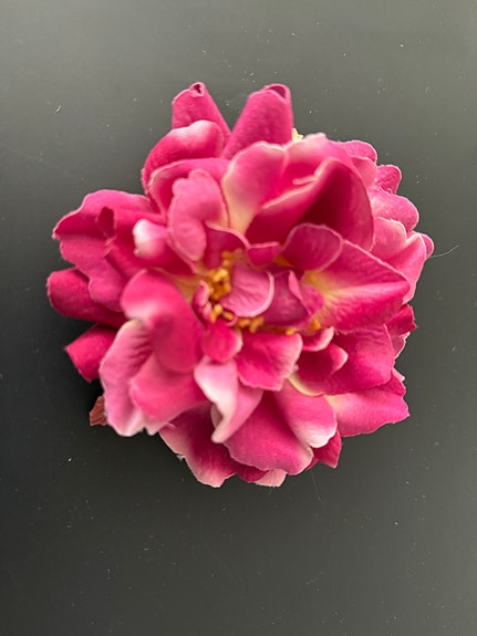 Product image 13 of 22