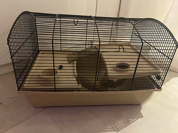 Product image 1 of 10