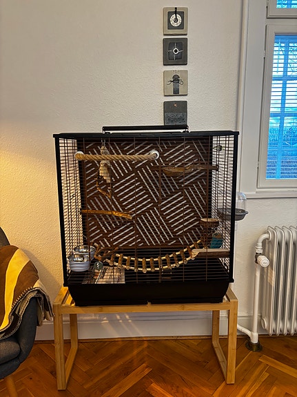 Product image 1 of 6