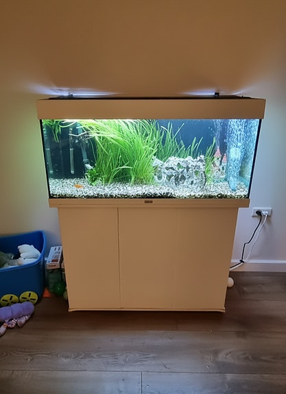 Product image 1 of 7