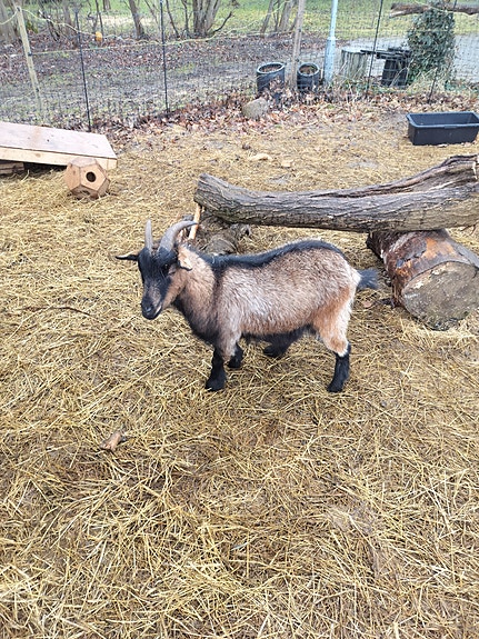 Product image 1 of 7