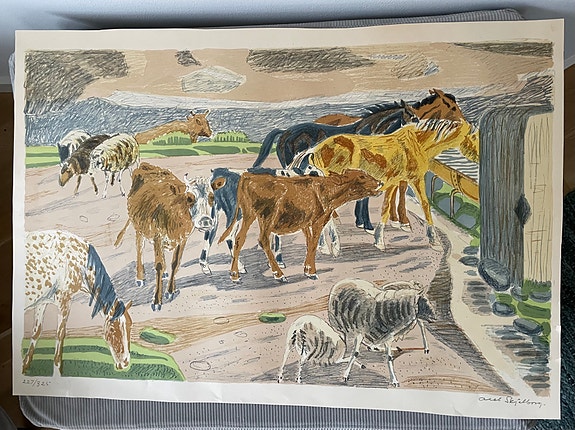 Product image 5 of 9