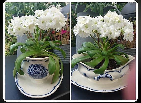 Product image 20 of 25
