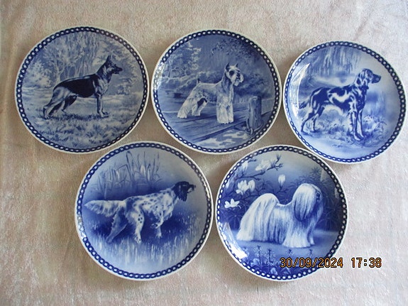 Product image 1 of 7