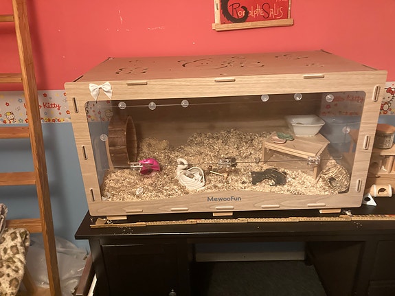 Product image 1 of 9