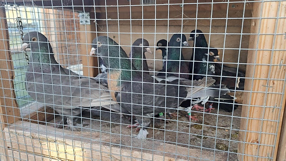 Product image 1 of 4