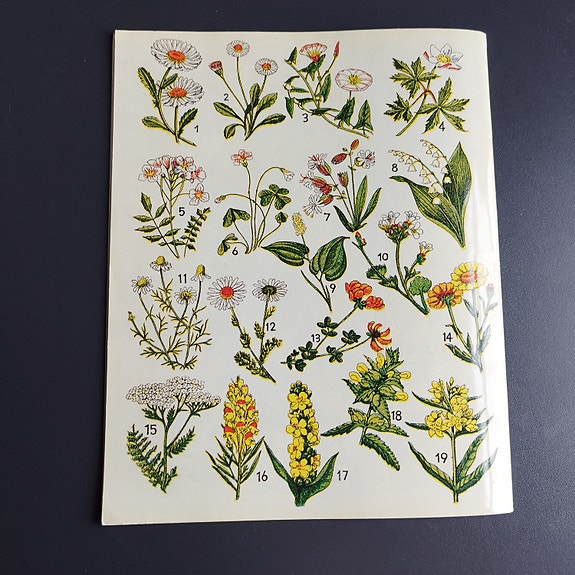 Product image 19 of 19