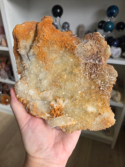 Product image 1 of 10