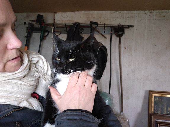 Product image 3 of 8