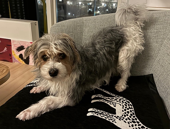 Product image 4 of 6