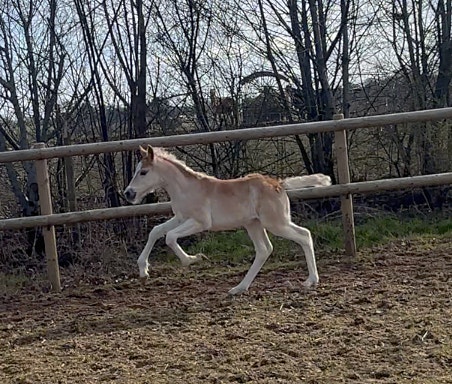 Product image 16 of 21