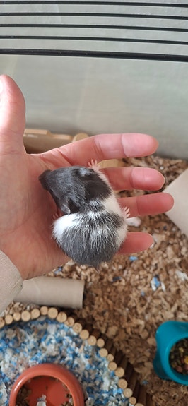 Product image 9 of 9