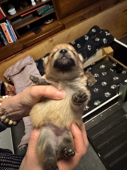 Product image 6 of 9