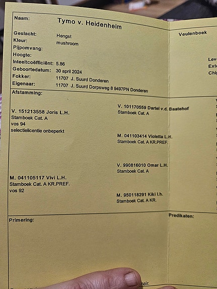 Product image 9 of 9