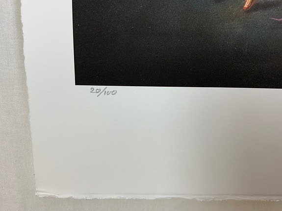 Product image 13 of 16