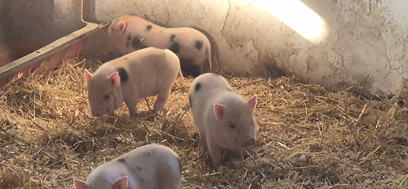 Product image 1 of 9