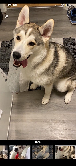 Product image 5 of 5