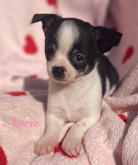 Product image 1 of 10