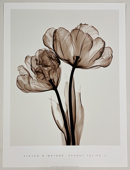 Product image 13 of 14