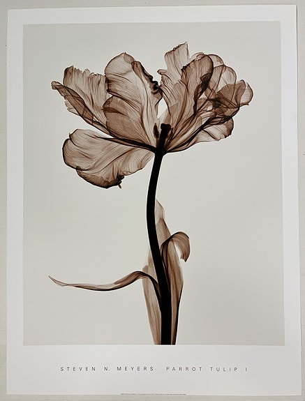 Product image 12 of 14