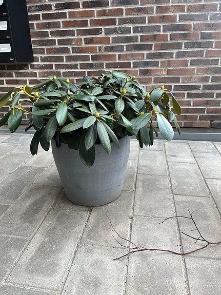 Product image 1 of 8