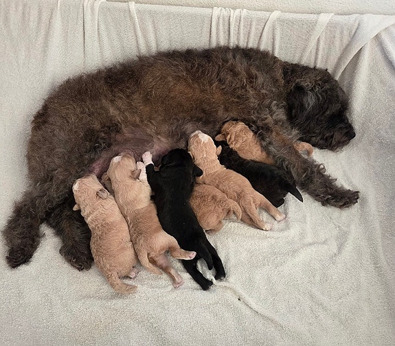 Product image 1 of 6