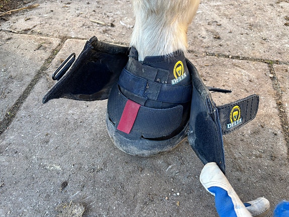 Product image 4 of 9