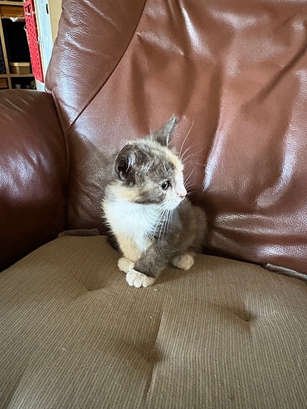 Product image 5 of 9