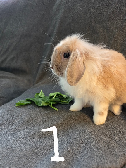 Product image 1 of 10