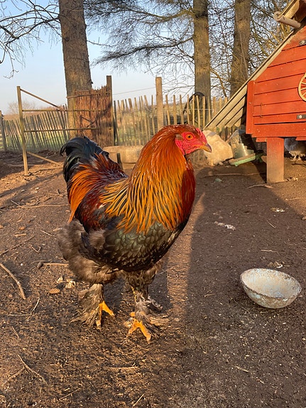 Product image 1 of 4