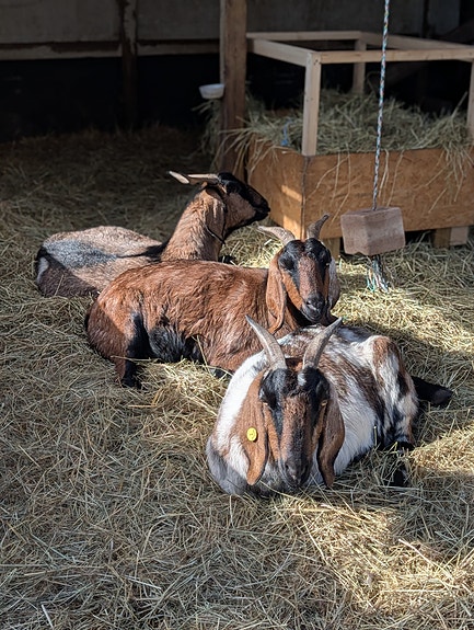 Product image 1 of 8