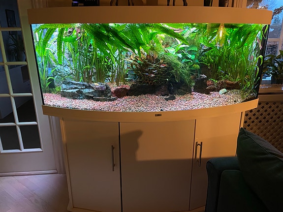 Product image 1 of 9