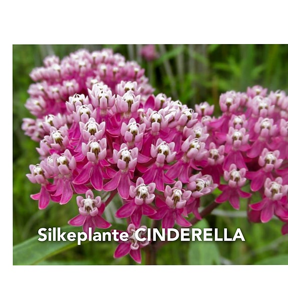 Product image 14 of 26