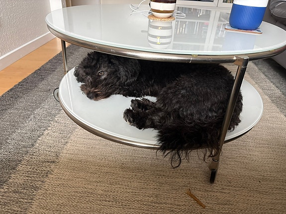 Product image 1 of 5