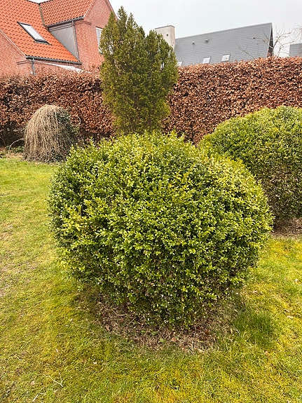 Product image 1 of 9