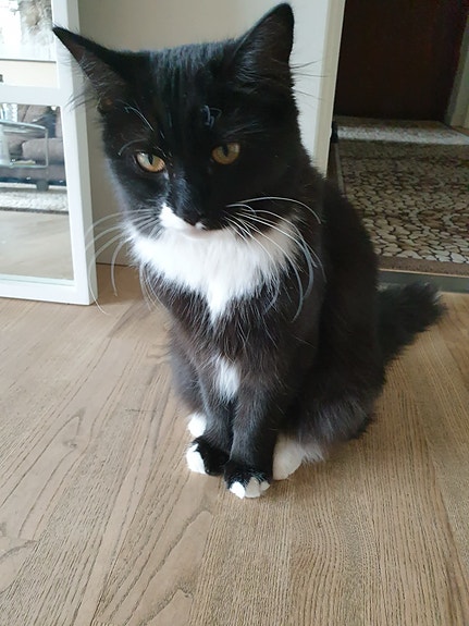 Product image 5 of 8