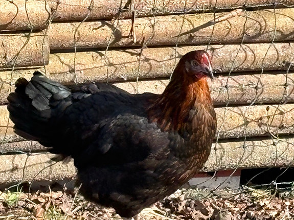 Product image 1 of 7