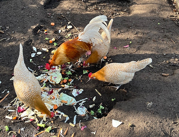 Product image 1 of 8