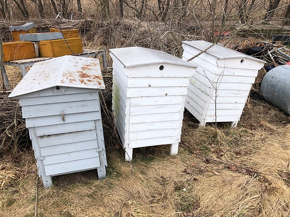 Product image 1 of 6