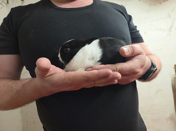 Product image 7 of 10