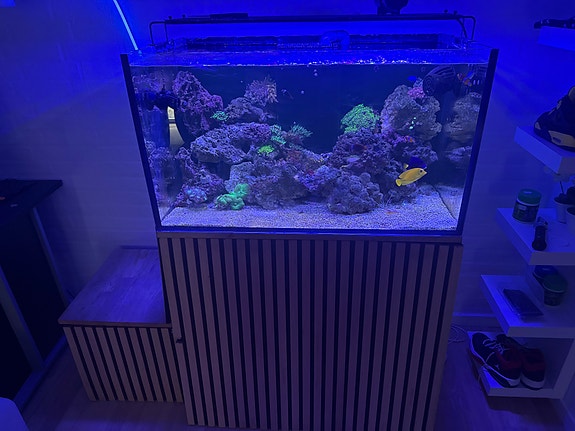 Product image 1 of 6