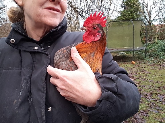 Product image 5 of 5