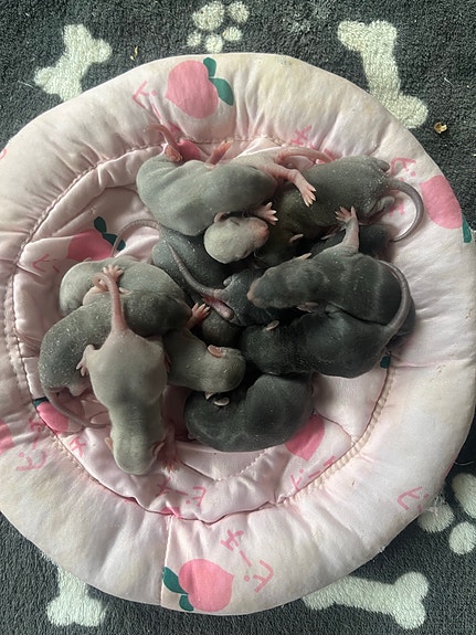 Product image 1 of 10