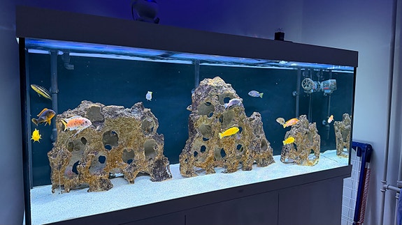 Product image 1 of 6